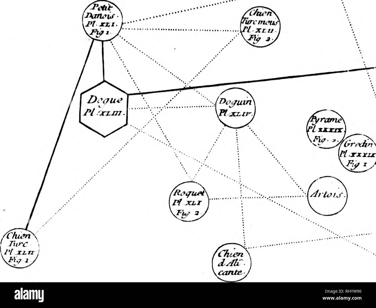 Xj Black And White Stock Photos Images Alamy