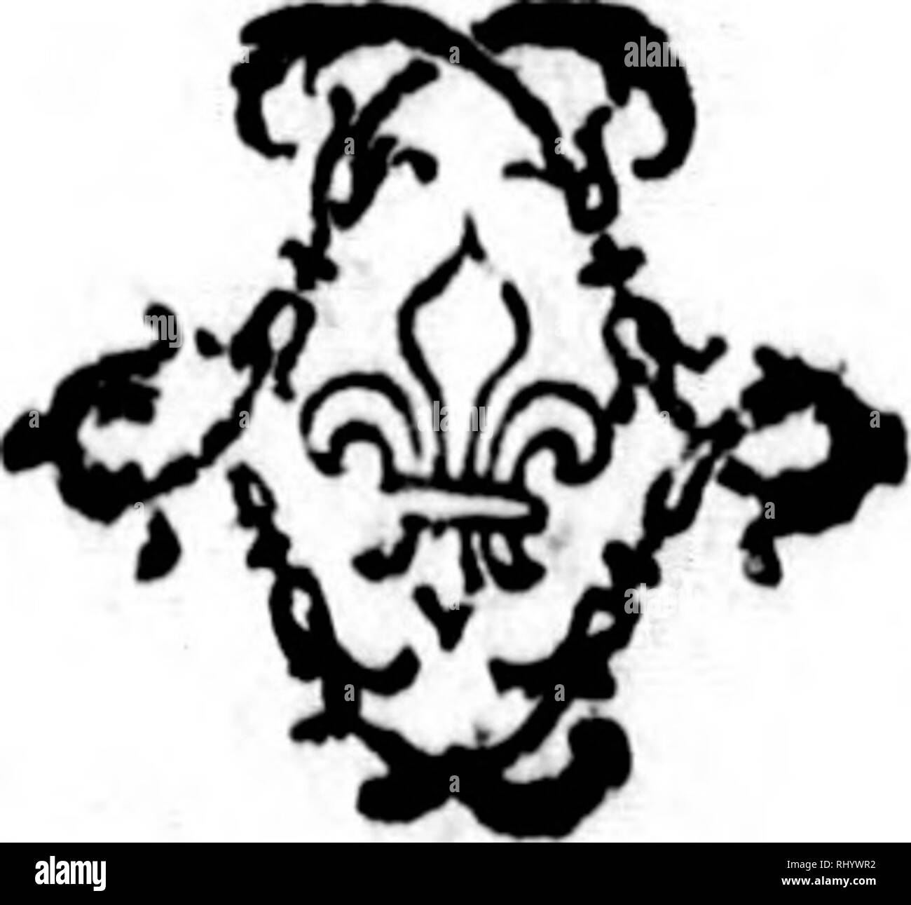 Iame High Resolution Stock Photography And Images Alamy