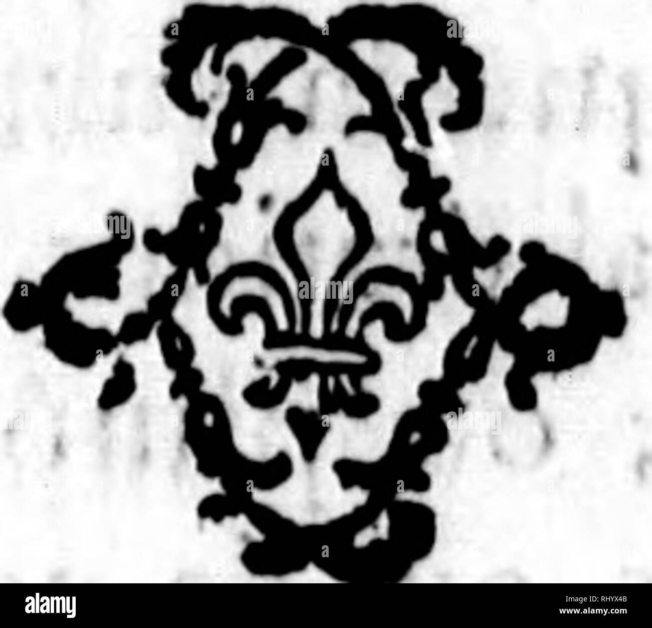 mod le femme amateur