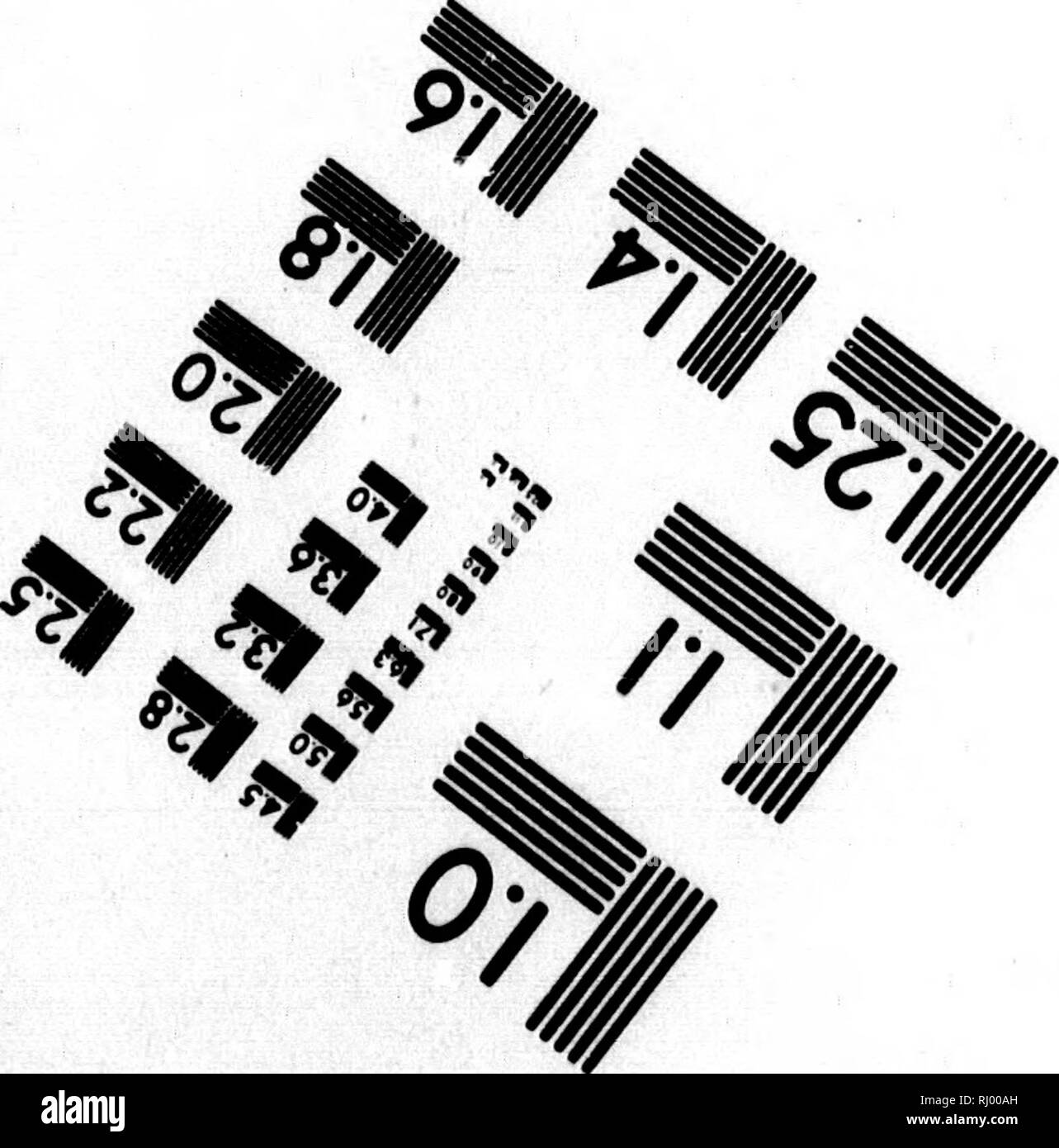 2 1 16 Black And White Stock Photos Images Page 2 Alamy