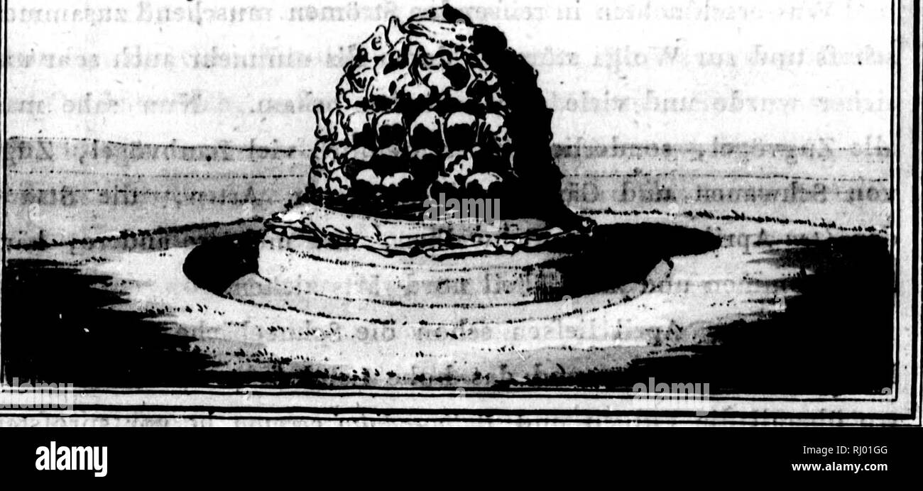 Bemerkungen Auf Einer Reise In Die Sa Dlichen Statthalterschaften Des Russischen Reichs In Den Jahren 1793 Und 1794 Microform Natural History Sciences Naturelles A A I I Mi Rra T5ta A A Ry Quot T K R Fil Aw I Af Vvjv A A A Gt