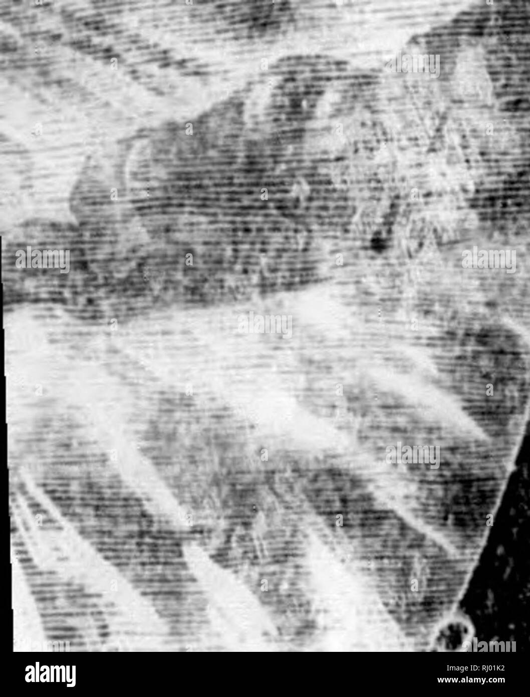 . Earth, sea and sky, or, Marvels of the universe [microform] : being a ...