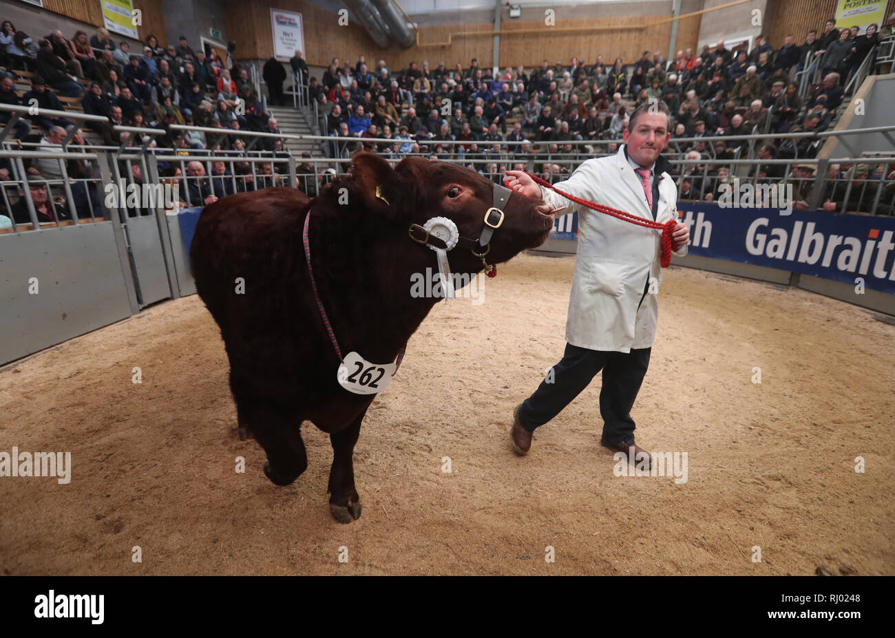 Stirling agricultural centre hires stock photography and images Alamy