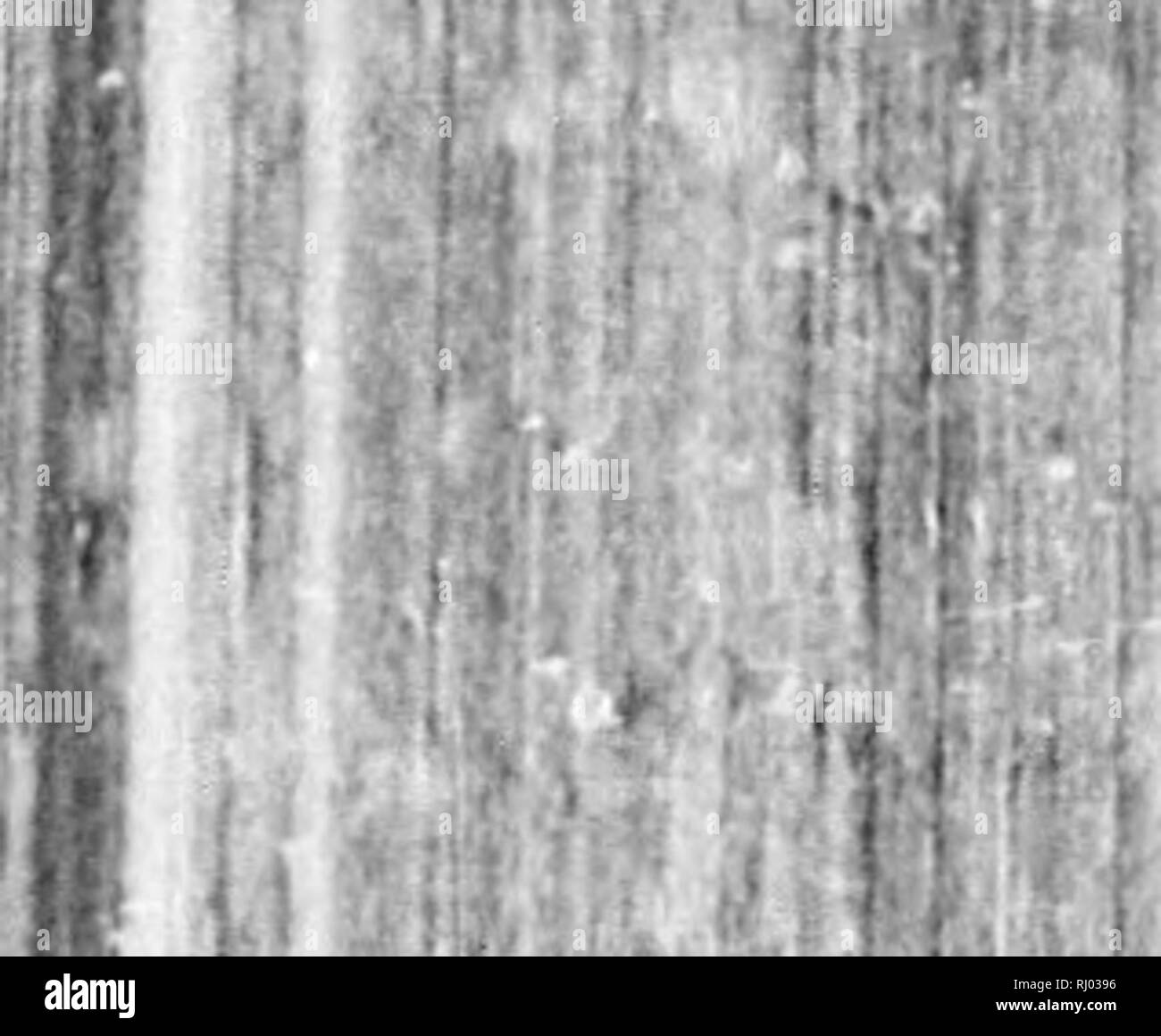 . Earth, sea and sky, or, Marvels of the universe [microform] : being a ...