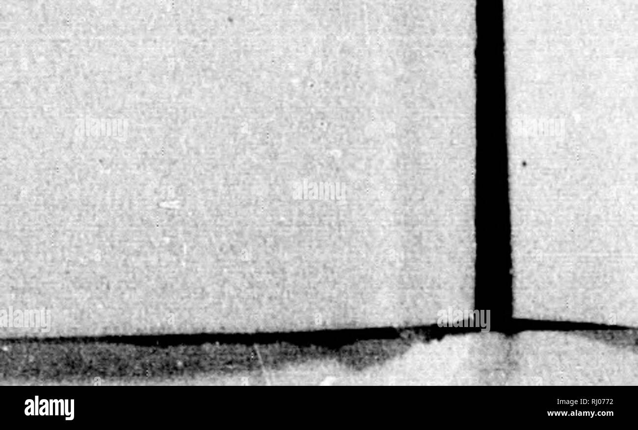 The Dog In Health And In Disease Microform Including His Origin History Varieties Breeding Education And