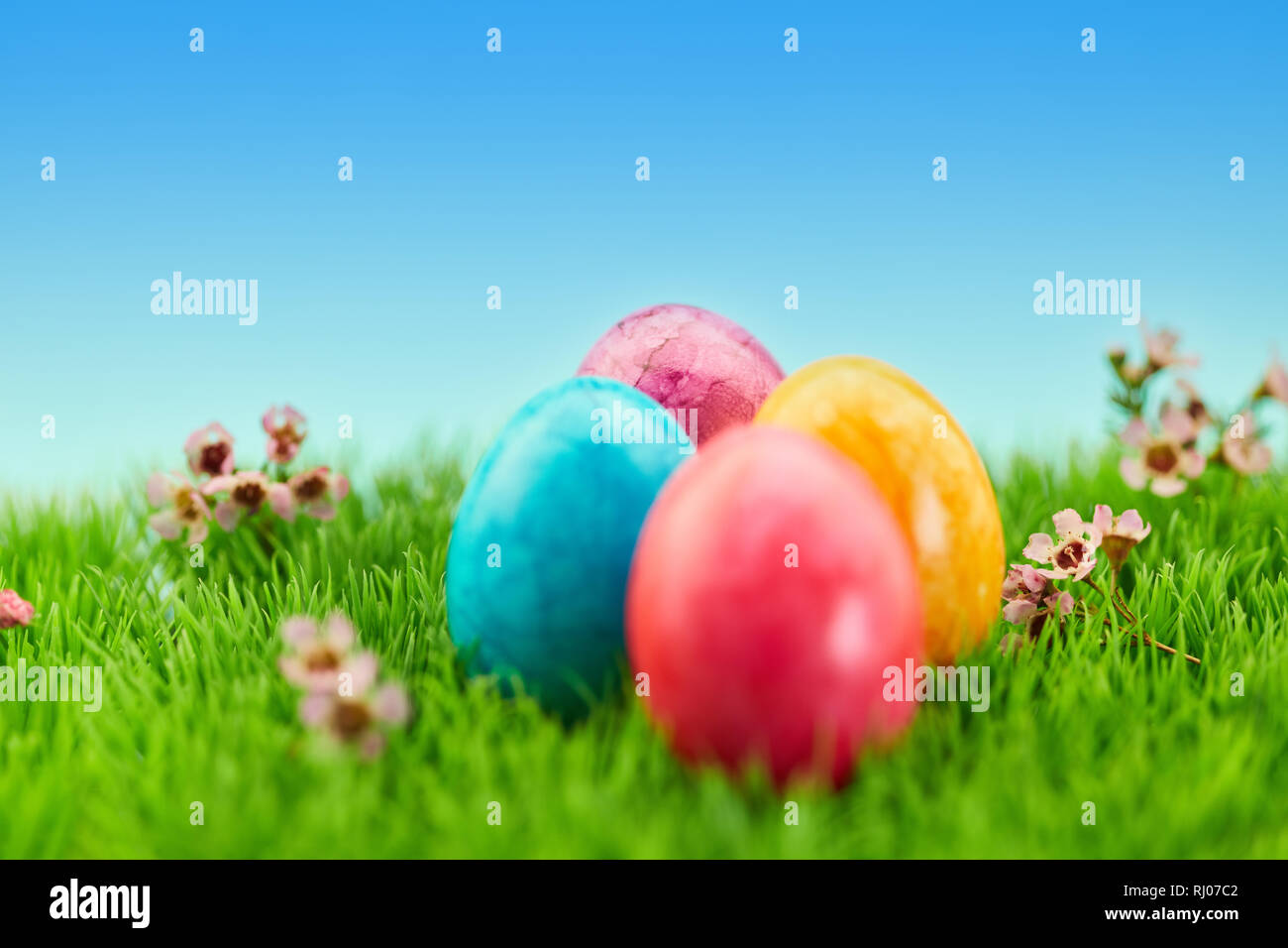 Four brightly painted easter eggs as easter background decoration on a green meadow Stock Photo