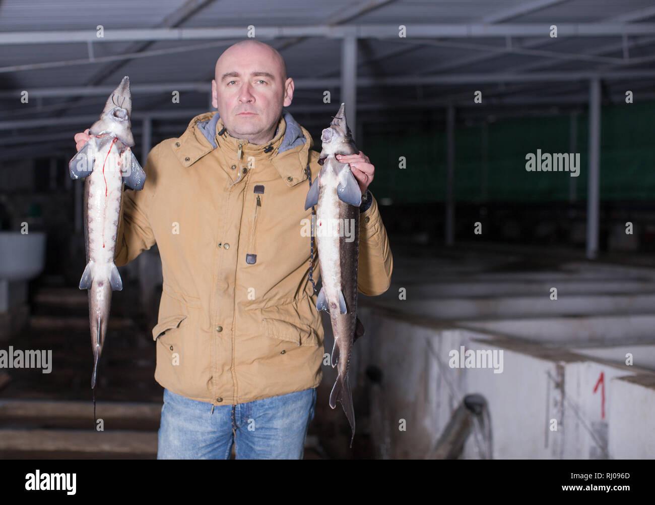Portrait of successful owner of sturgeon farm showing grown fish