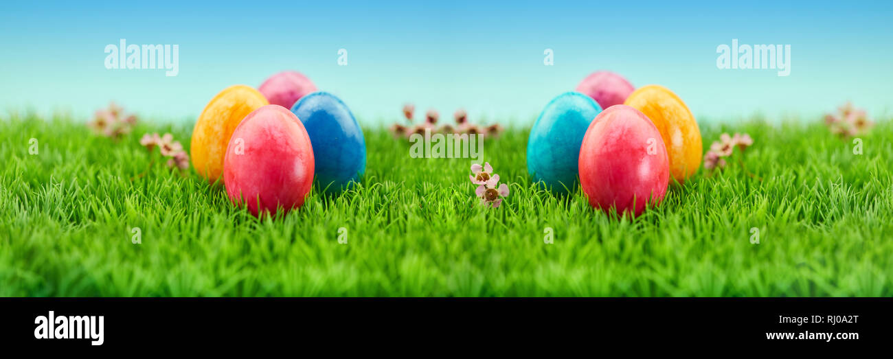 Many colorful easter eggs on a green meadow as easter panorama header Stock Photo