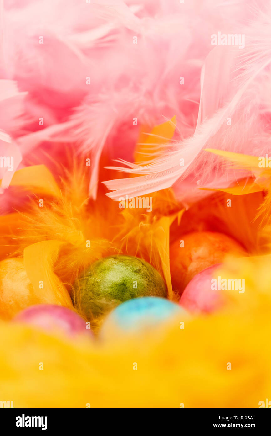 Colorful painted eggs are hidden in a nest of feathers for Easter Stock