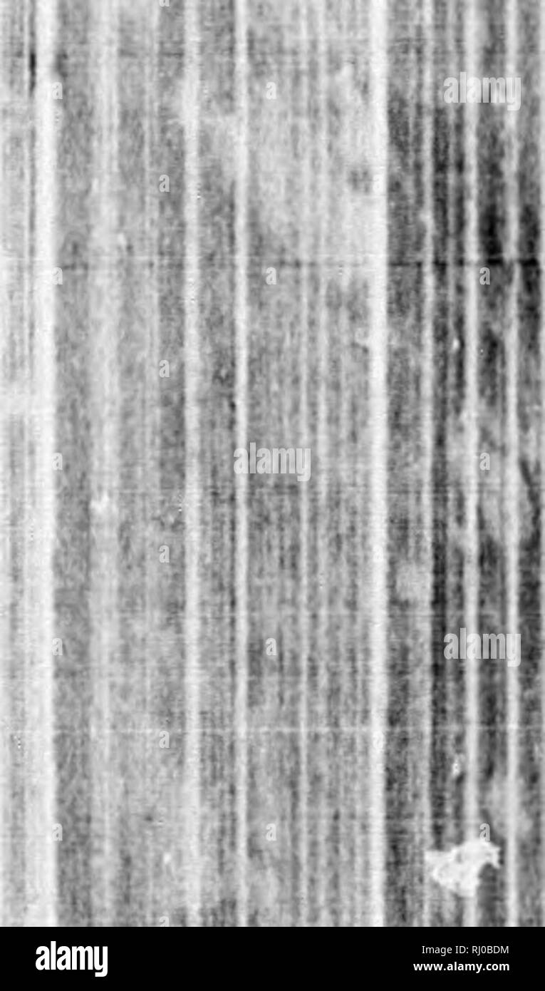 . Earth, sea and sky, or, Marvels of the universe [microform] : being a ...