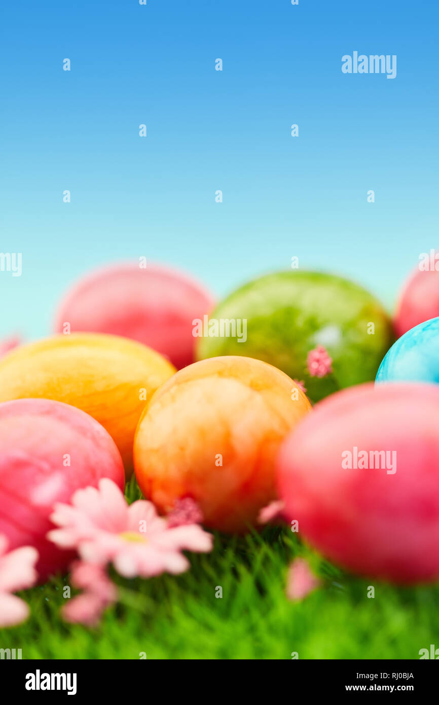 Many colorful easter eggs lie on meadow for easter Stock Photo