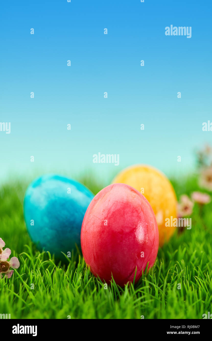 Colorful easter eggs on a meadow in nature as easter. Concept Stock