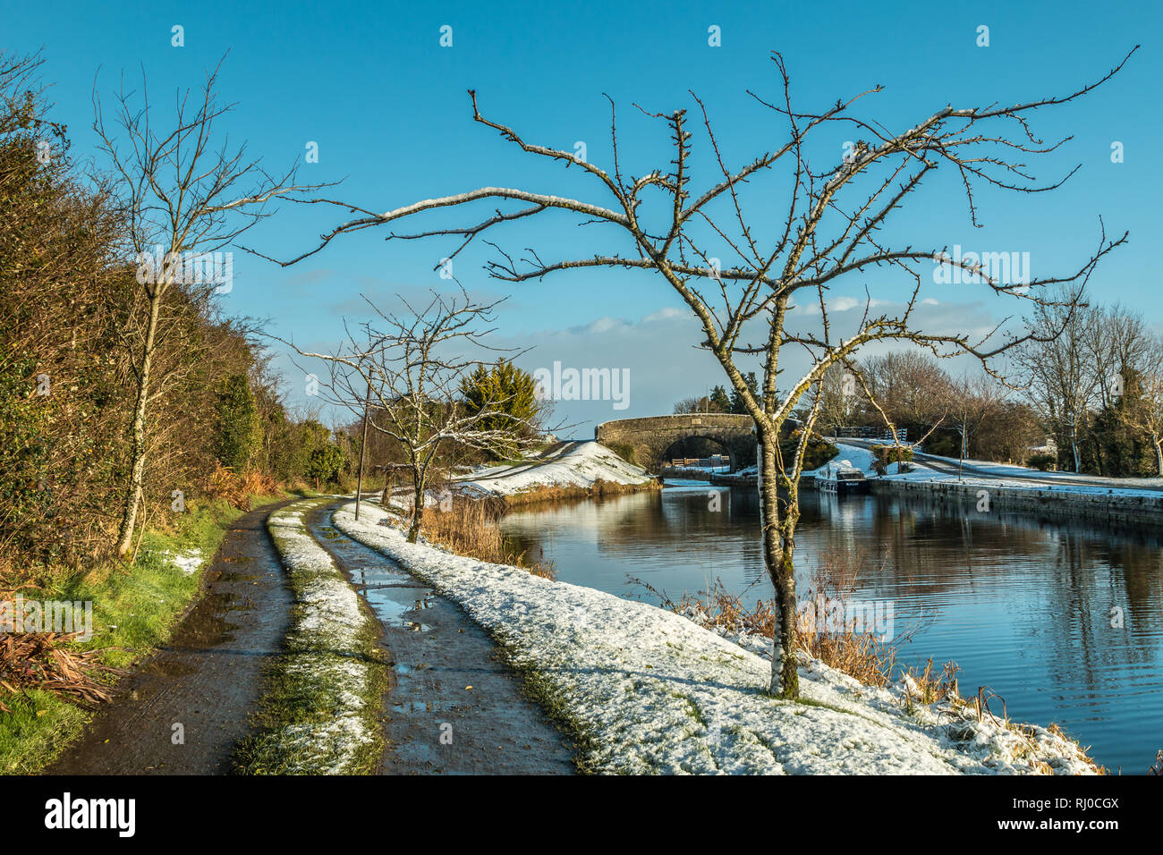 Royal Canal Ballymahon Ireland Stock Photo Alamy