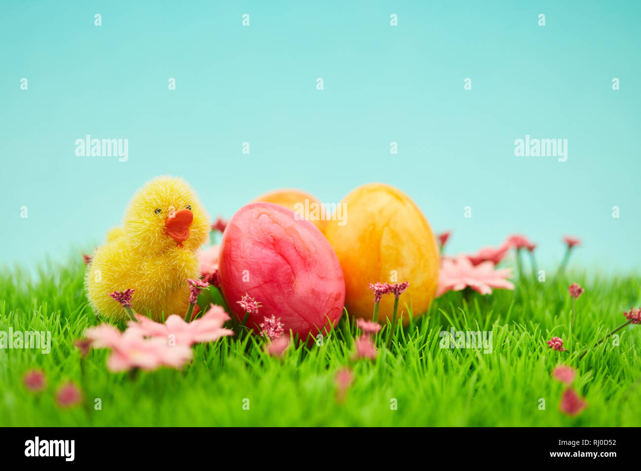 Easter background with chicks and easter eggs on a green meadow Stock Photo