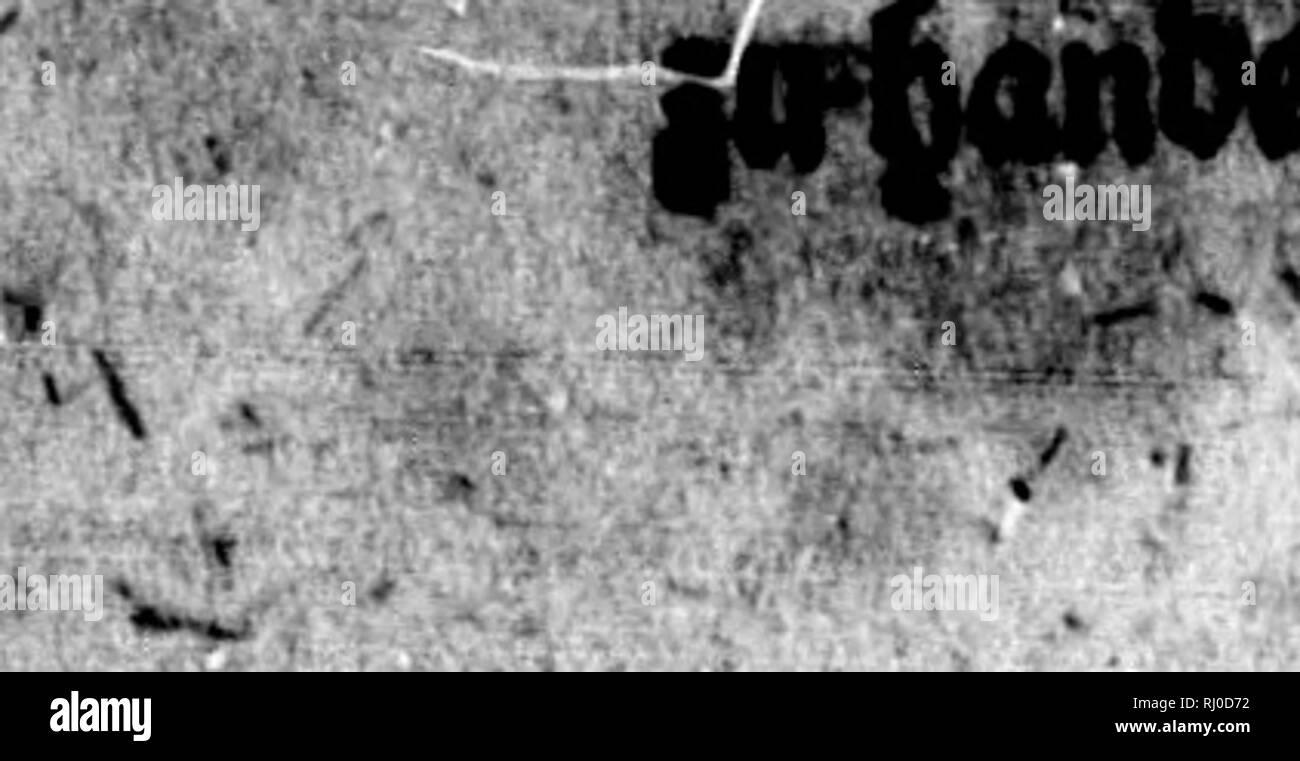 Page 8 Tmt High Resolution Stock Photography And Images Alamy