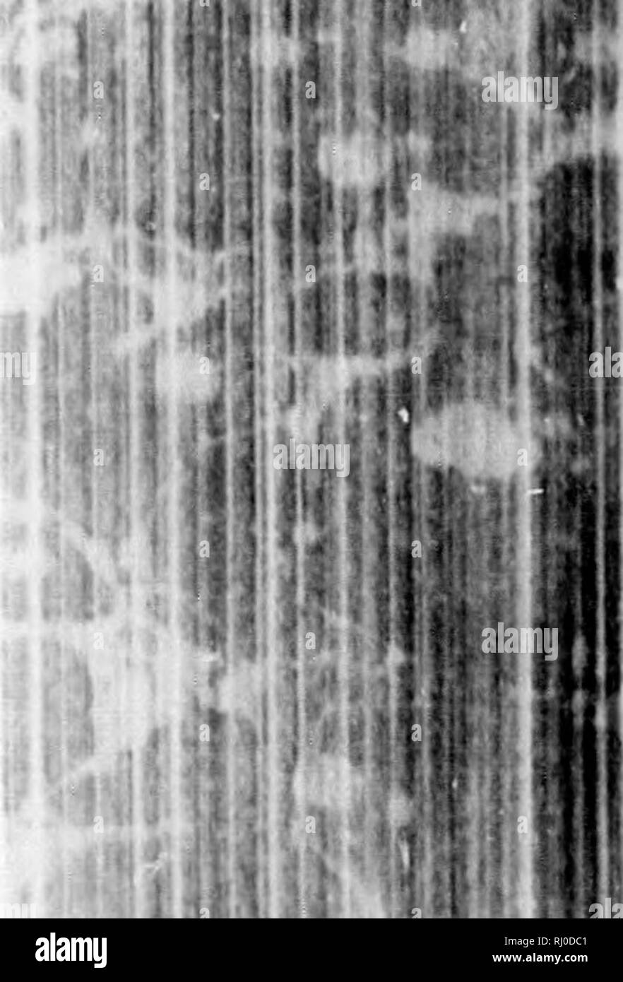 . Earth, sea and sky, or, Marvels of the universe [microform] : being a ...