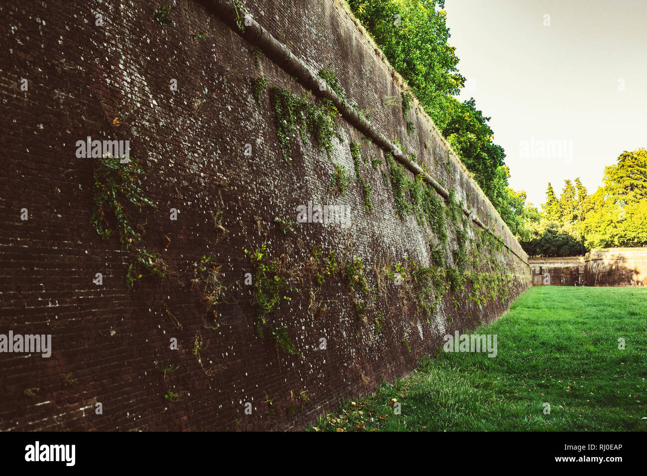 the medieval wall in Lucca Italy , spring 2018 Stock Photo
