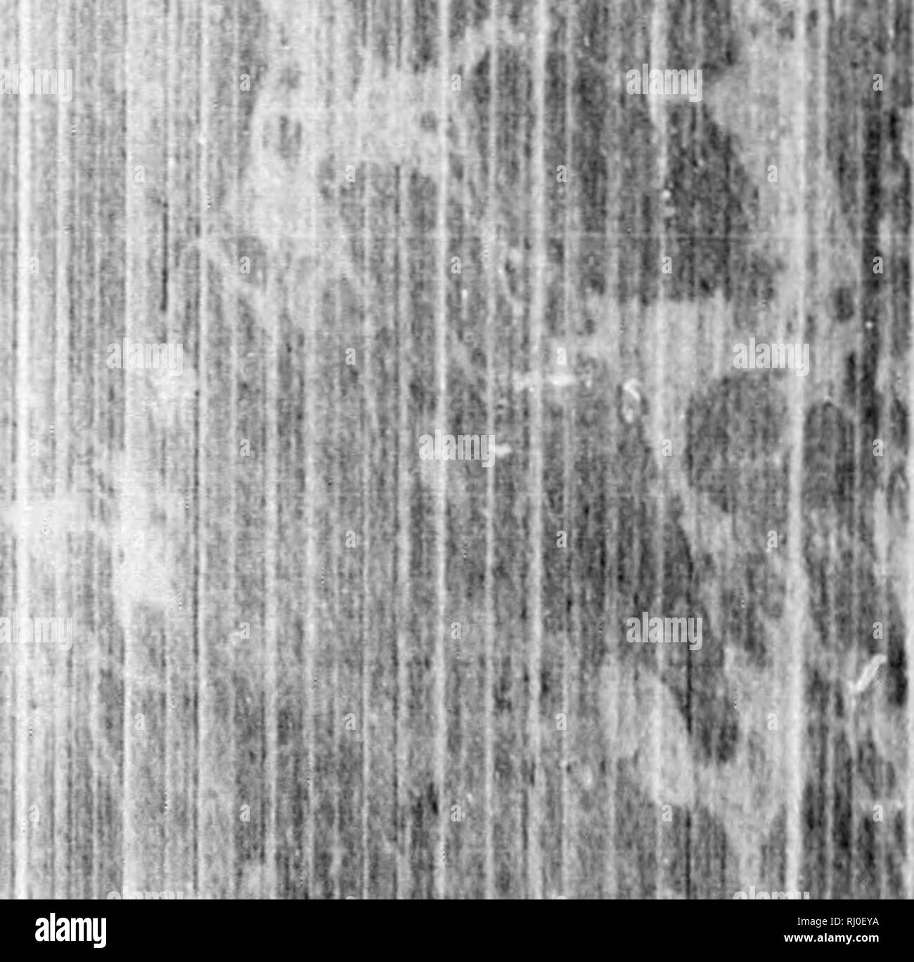 . Earth, sea and sky, or, Marvels of the universe [microform] : being a ...