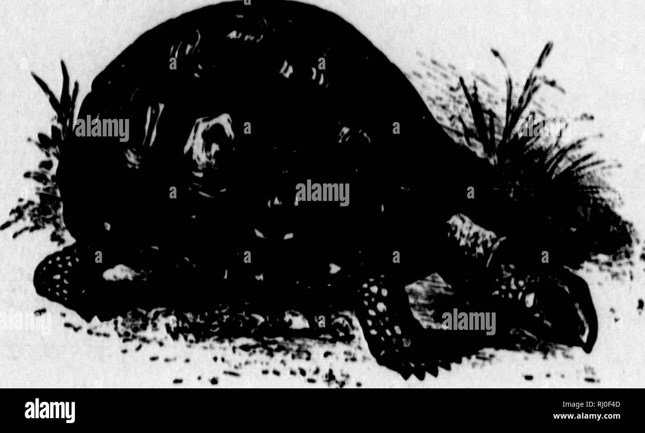 Blaok High Resolution Stock Photography And Images Alamy