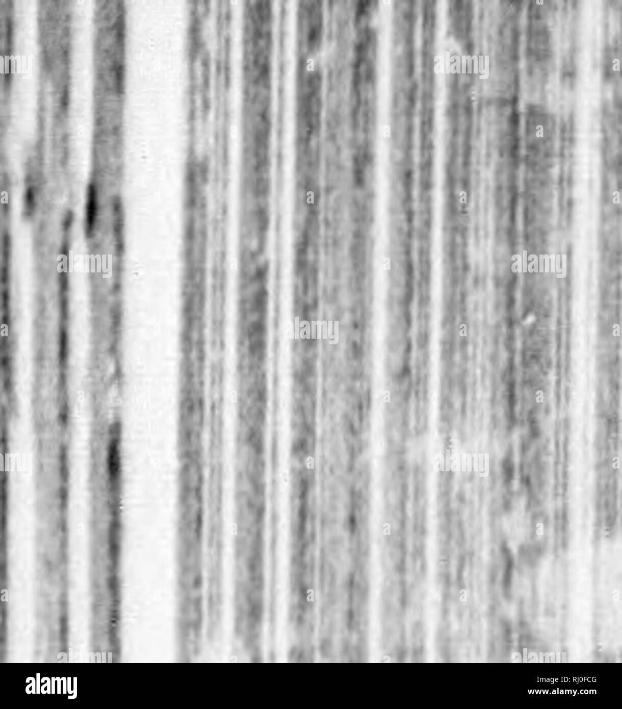 . Earth, sea and sky, or, Marvels of the universe [microform] : being a ...