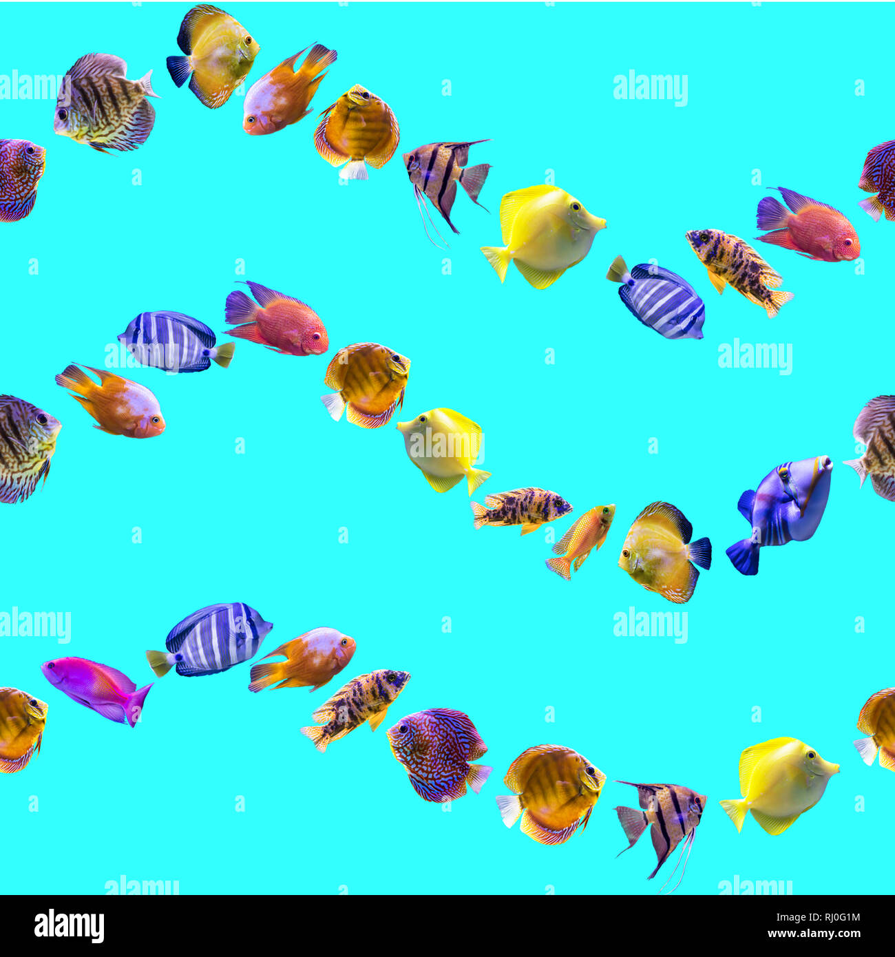 Wavy seamless pattern. Multi-colored fishes on a blue background. Site ...