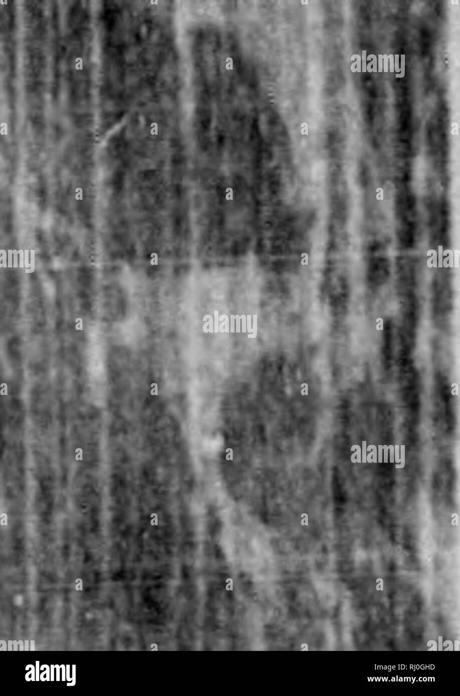 . Earth, sea and sky, or, Marvels of the universe [microform] : being a ...