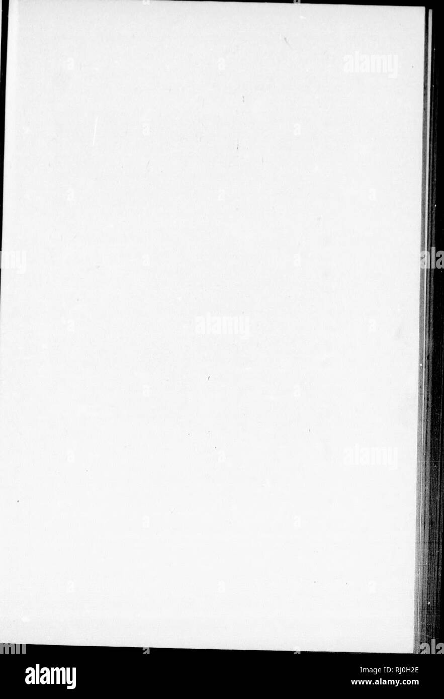 . Buffalo Jones' forty years of adventure [microform] : a volume of facts gathered from experience by Hon. C.J. Jones ... among Eskimos, Indians, and the ferocious beasts of North America. Jones, C. J. (Charles Jesse) 1844-1919; Jones, C. J. (Charles Jesse) 1844-1919; Natural history; Indians of North America; Sciences naturelles; Indiens. )o in vrote sent r re- ercy Pnrk (1 of &lt;tl)y pre- Imd irJy yof lurs ov- ex- iiig fur pie ior : I I is ifl- ive an ed ire Mr Id n- d. )e 11 d. Please note that these images are extracted from scanned page images that may have been digitally enhanced for r Stock Photo