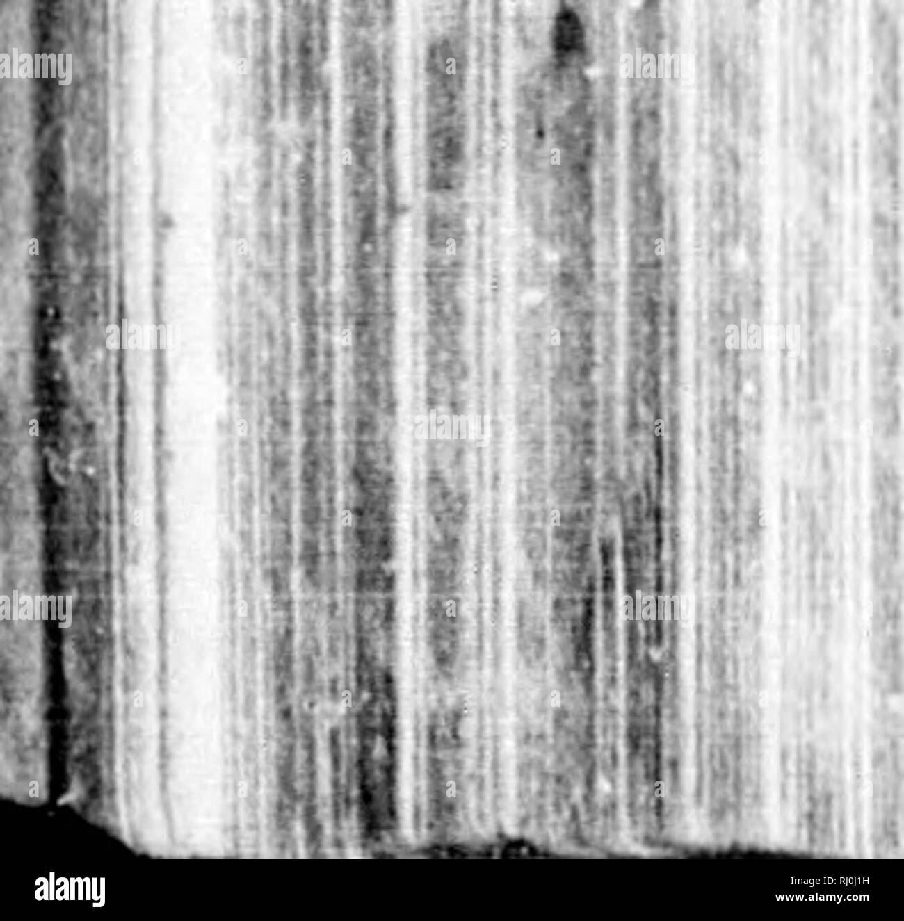 . Earth, sea and sky, or, Marvels of the universe [microform] : being a ...