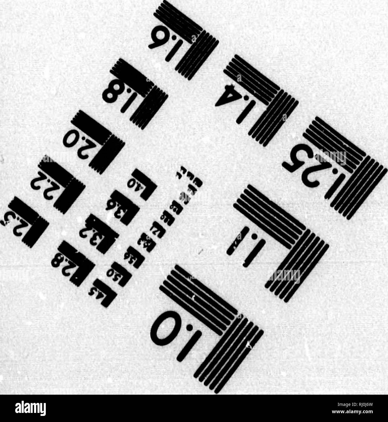 Anatomy hi res hi-res stock photography and images - Alamy