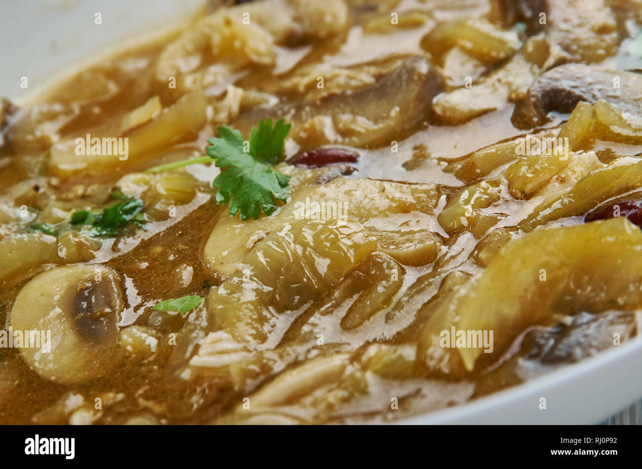 Caramelized Onion, Fennel, Mushroom Soup or beef stock close up Stock