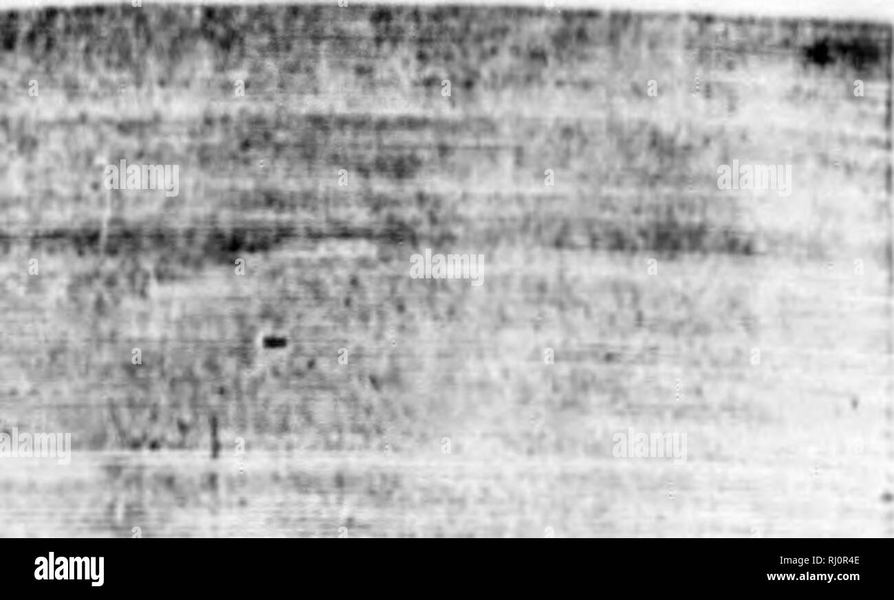. Earth, sea and sky, or, Marvels of the universe [microform] : being a ...