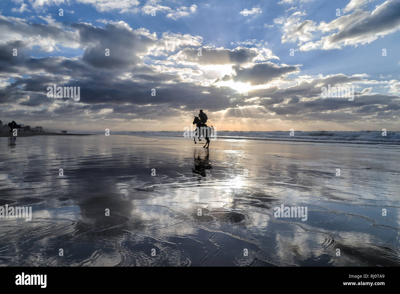 Photo of horse rider on  beach - Gaza, Palestine. Stock Photo