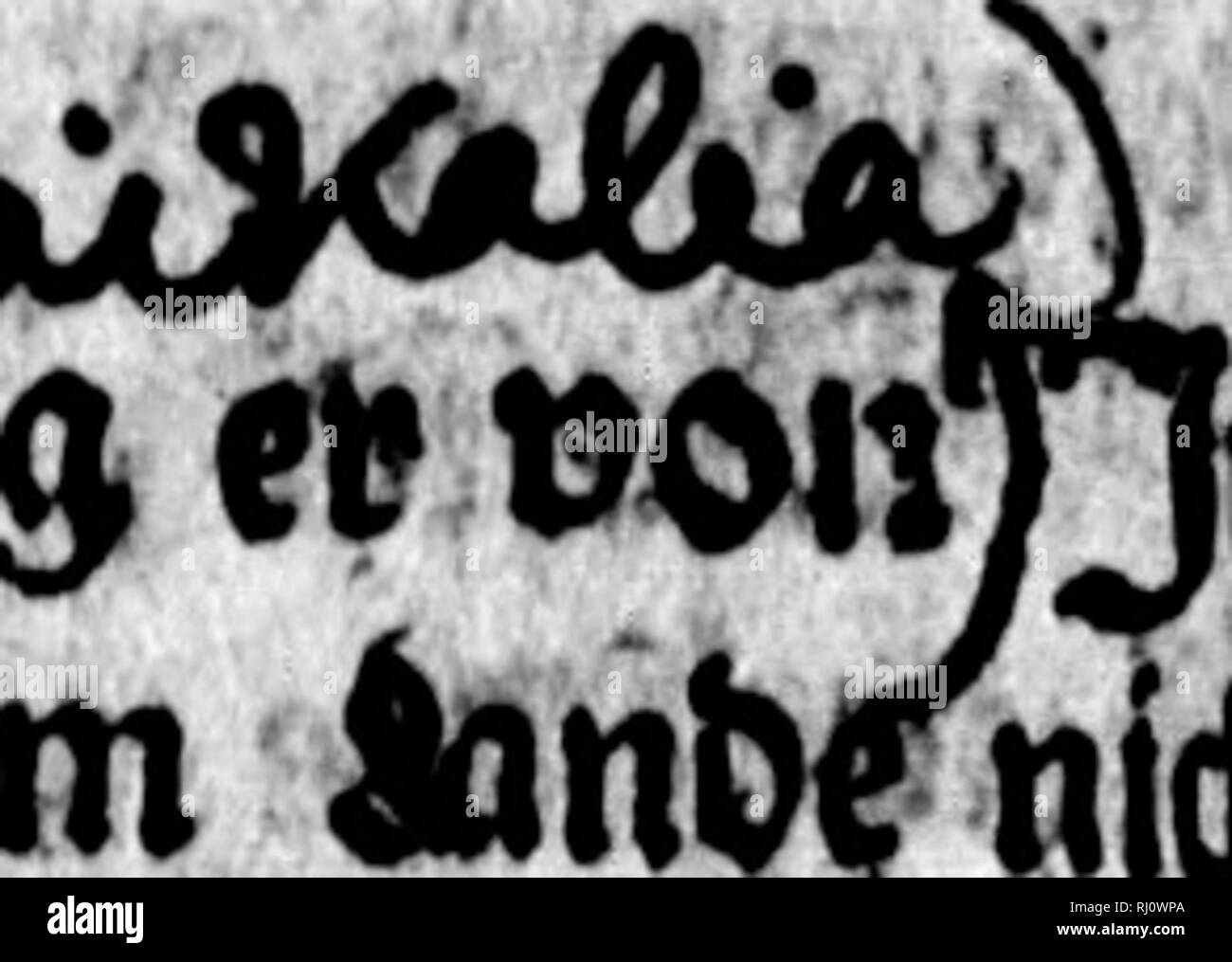 Page 47 M Y High Resolution Stock Photography And Images Alamy