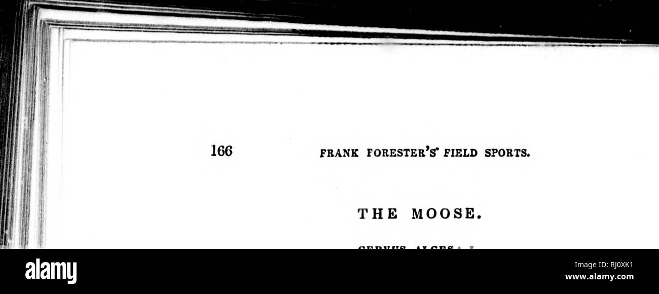 . Frank Forester's field sports of the United States and British provinces of North America [microform]. Game and game-birds; Hunting; Gibier; Chasse. FRANK forester's&quot; FIELD SPORTS. THE MOOSE. CERVUS ALCES; h. M Alces, Achlis; Plin. Aid. Gesn. Jonst. Original; CJuirlev. Nouv. France, iii., 126. Elan ; Buff. Hist. Nat. xii., supp. vii. Elk; Shaw, Ged. Zool.n., &gt;iivt 2,11^. Moose Deer ; Dudley, Phil. Trans. No. 444— Warden Descript. des Etats Unis, v., p. 636. Elk; Penn.IIist. QwaJ. No. 42 Moose; lb. Arct. Zool.l, No.3, p. 18. &quot; The Moose—this appellation is derived from Musu, the Stock Photo