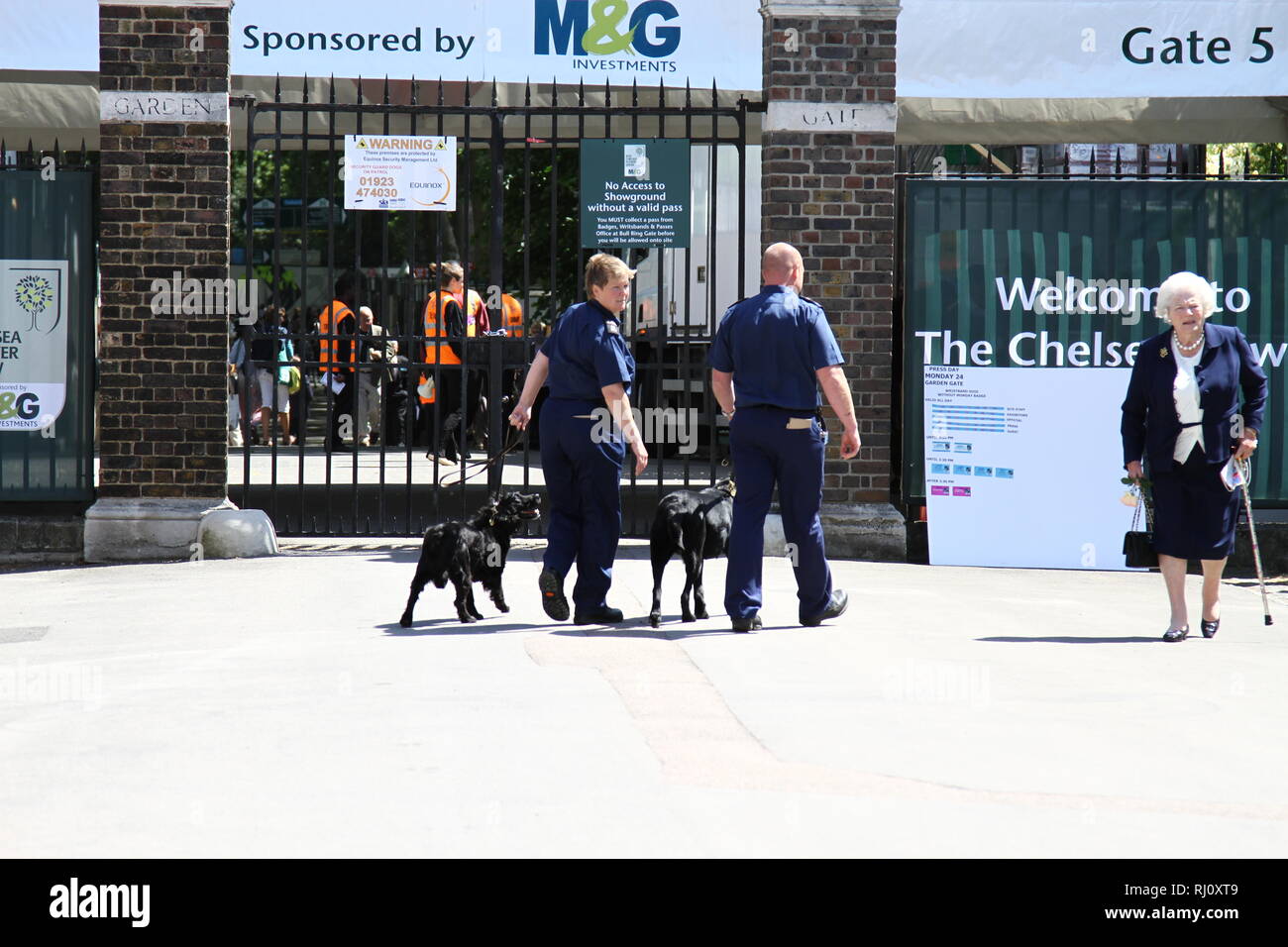 Event security, police and police sniffer Dogs working at the Royal Horticultural flower show [ Chelsea flower show ] in London. Patron. Advertising, lettering. Culture. British culture. Cultural events. Annual event. Stock Photo