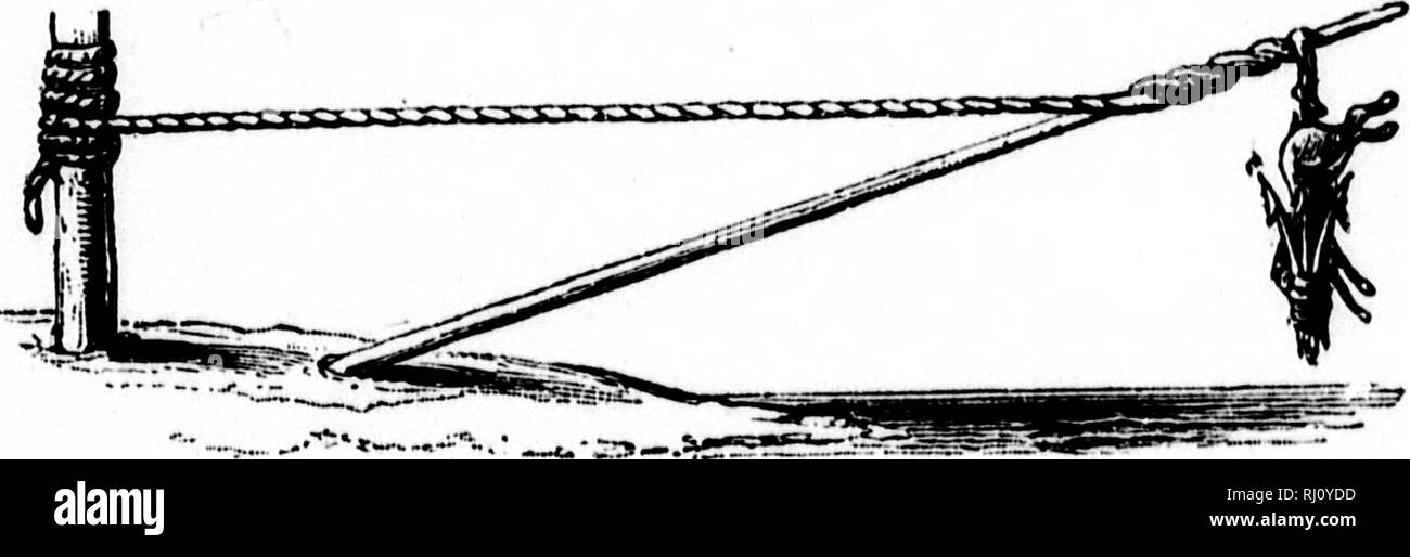 . Wanderings in South America &c [microform]. Indians of South America ...