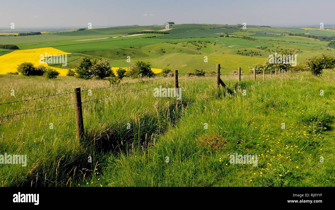 Calstone Coombes and Morgan's Hill, seen from Cherhill Down, Wiltshire. Stock Photo