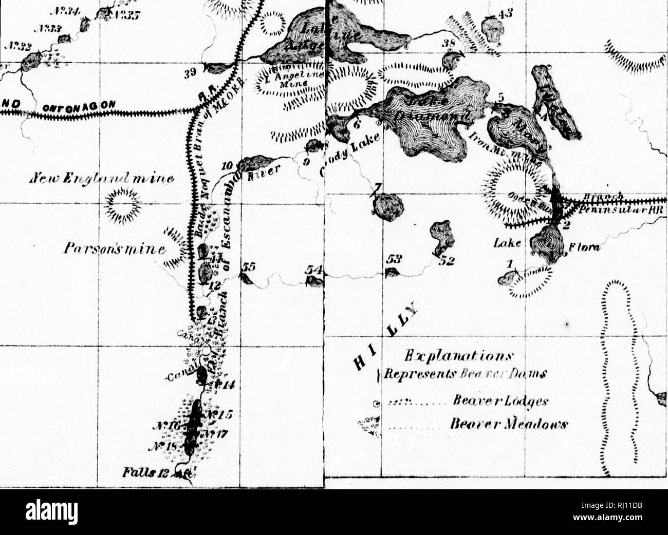 The American Beaver And His Works Microform Beavers Castors 5c V A A E V A Quot Quot A A Gt Quot Quot Quot U A V Y M Uhjie A I Yt I I J I Please Note That These Images Are Extracted