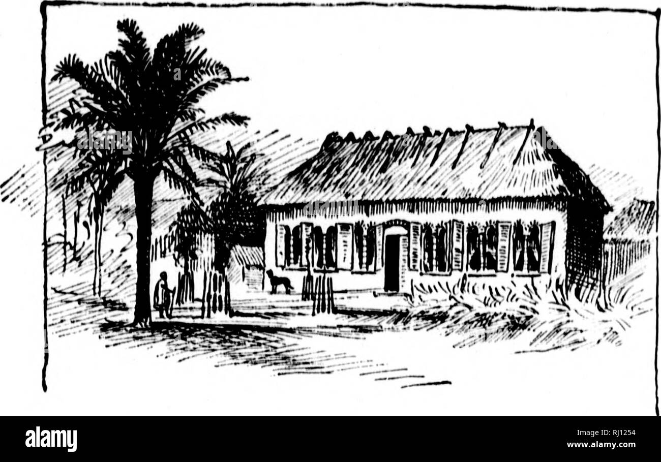 The Story Of The Rear Column Of The Emin Pasha Relief Expedition Microform Explorers Birds Insects Explorateurs Oiseaux Insectes Frif 870 Ntuin Of Till Hi Mi Column Tue House In Which