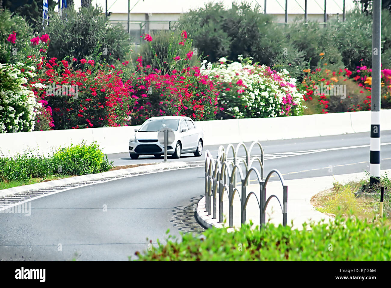 Road Side Flowers High Resolution Stock Photography And Images Alamy
