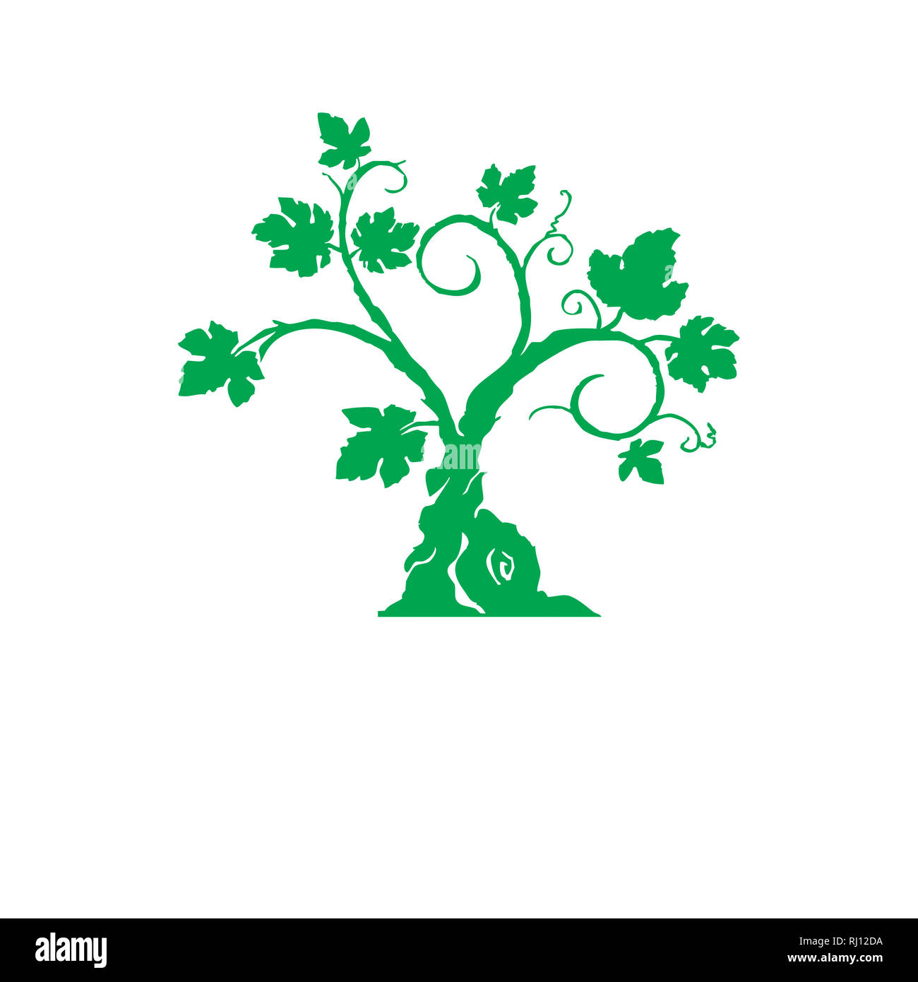 green tree isolated on white background Stock Photo - Alamy