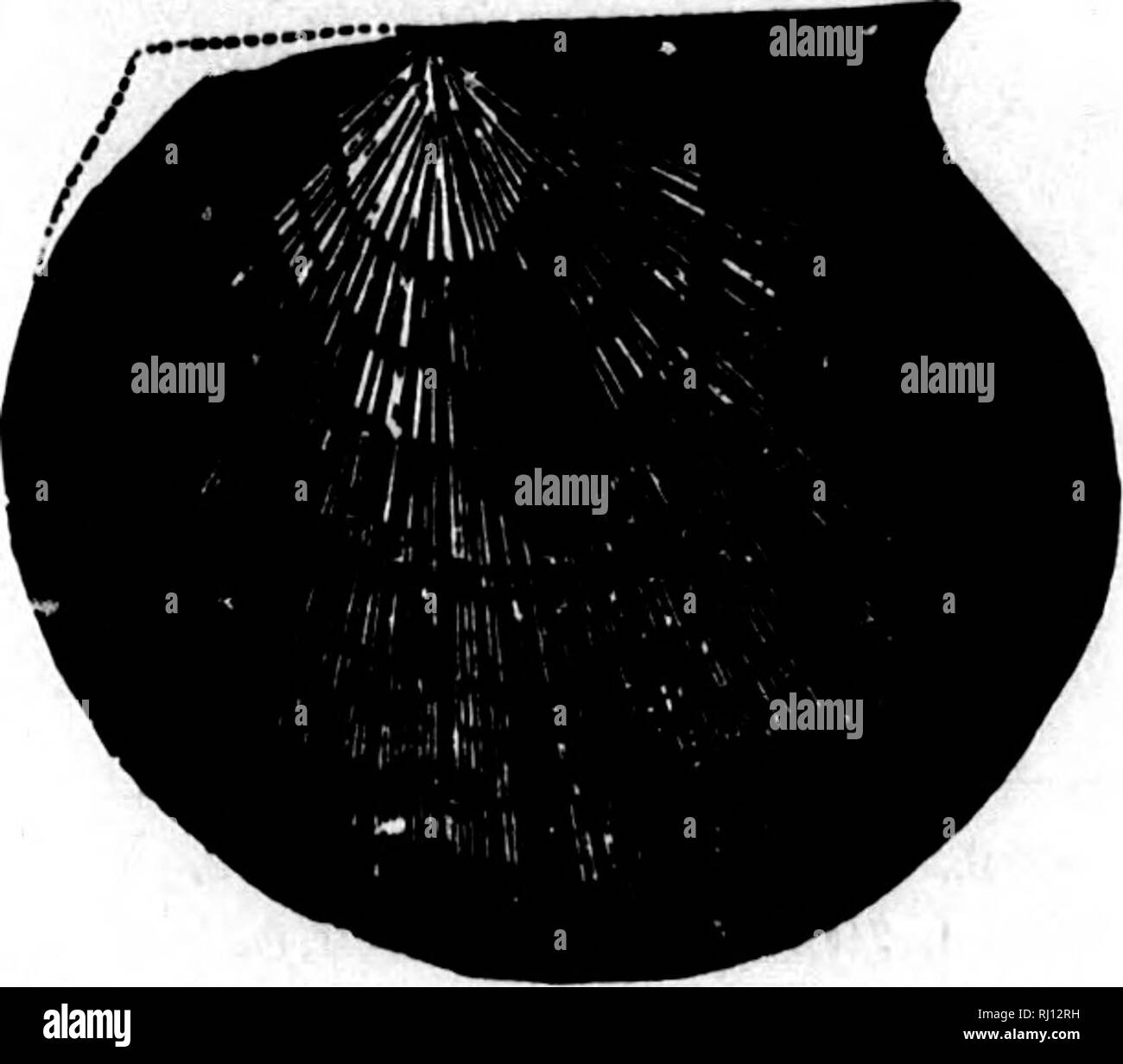 1877 geo hi-res stock photography and images - Alamy