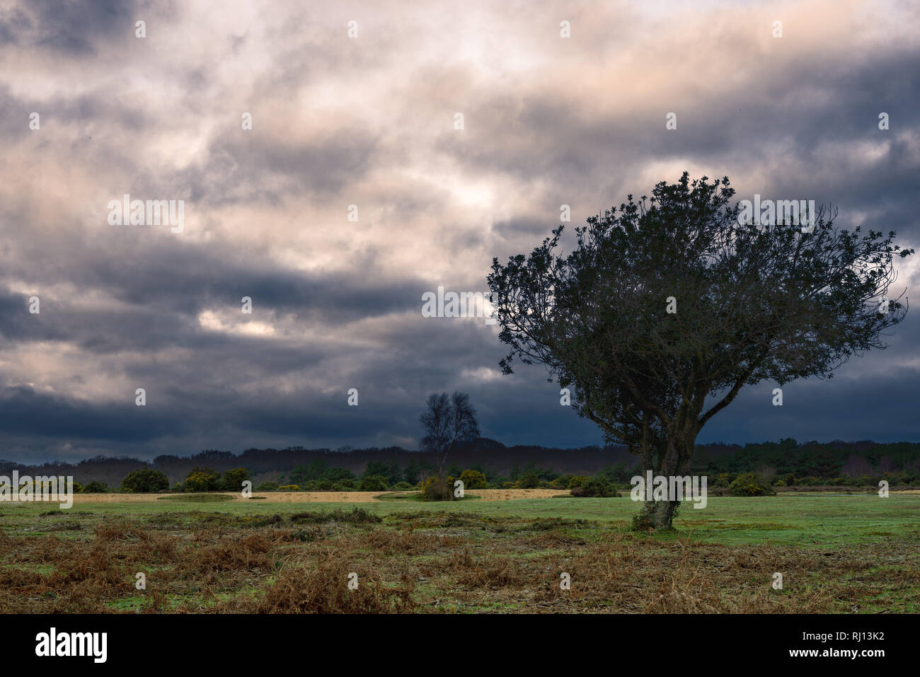 Stormy clouds over New Forest countryside Stock Photo