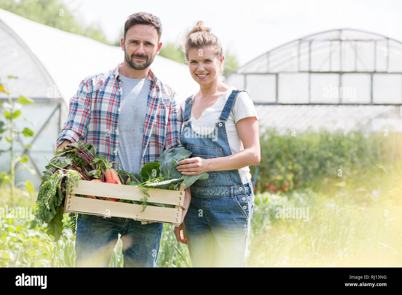 Portrait of smiling couple holding vegetables in crate at farm Stock ...