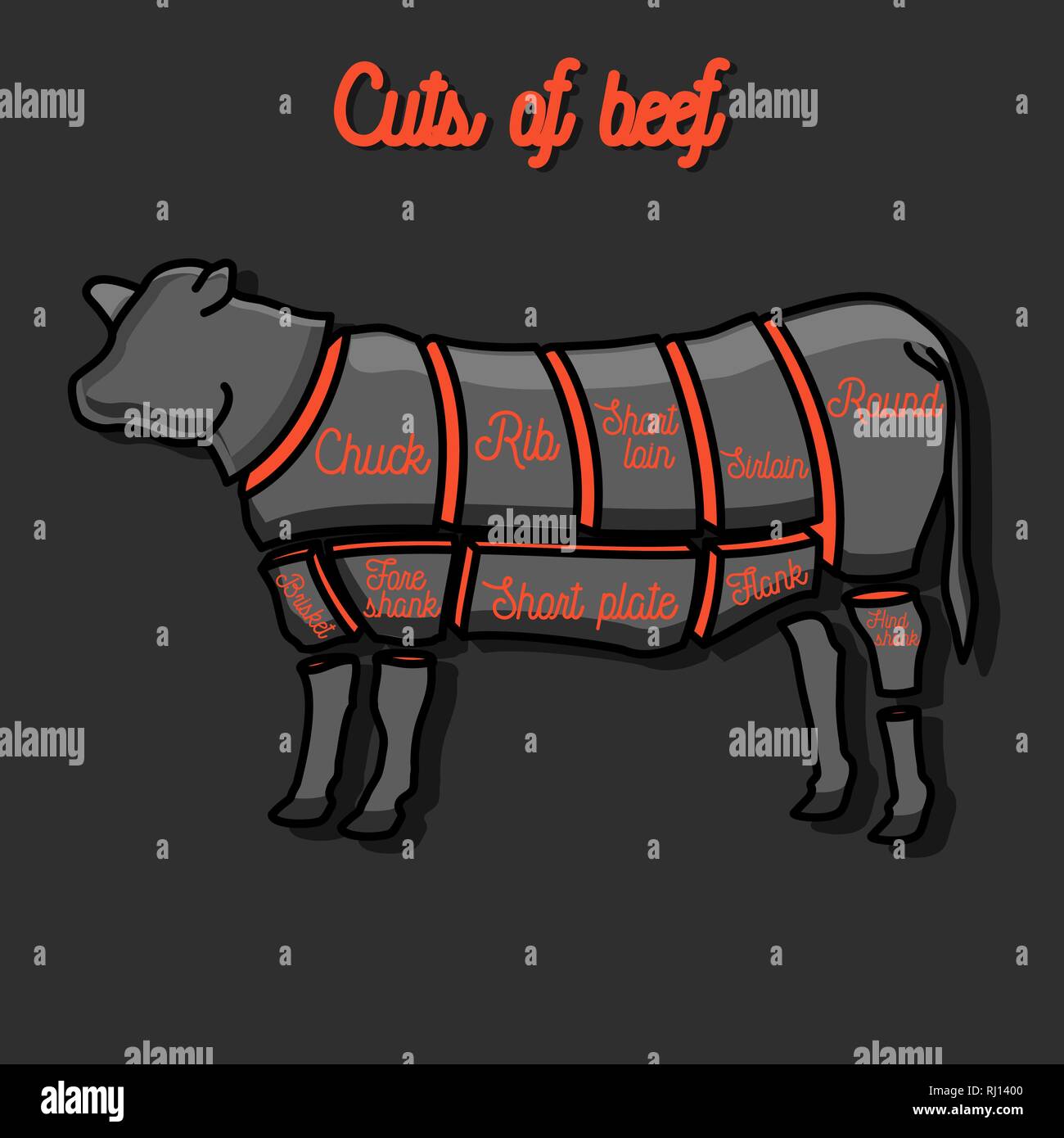 Cut Of Beef Set Poster Butcher Diagram Cow Vintage Typographic Hand Drawn Vector Illustration Stock Vector Image Art Alamy