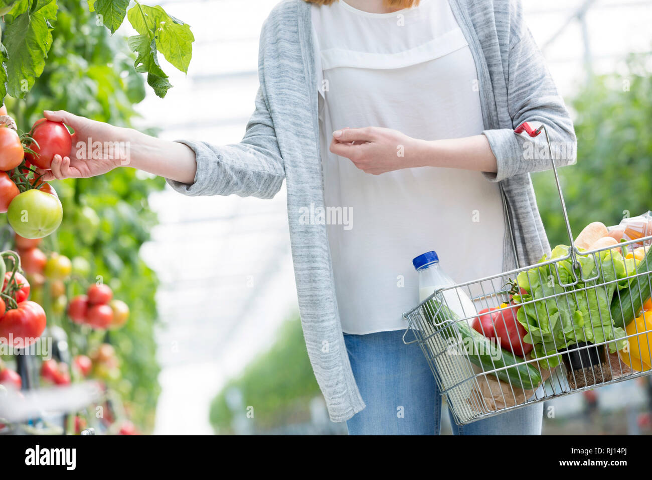 Midsection of woman buying fresh tomatoes in greenhouse Stock Photo