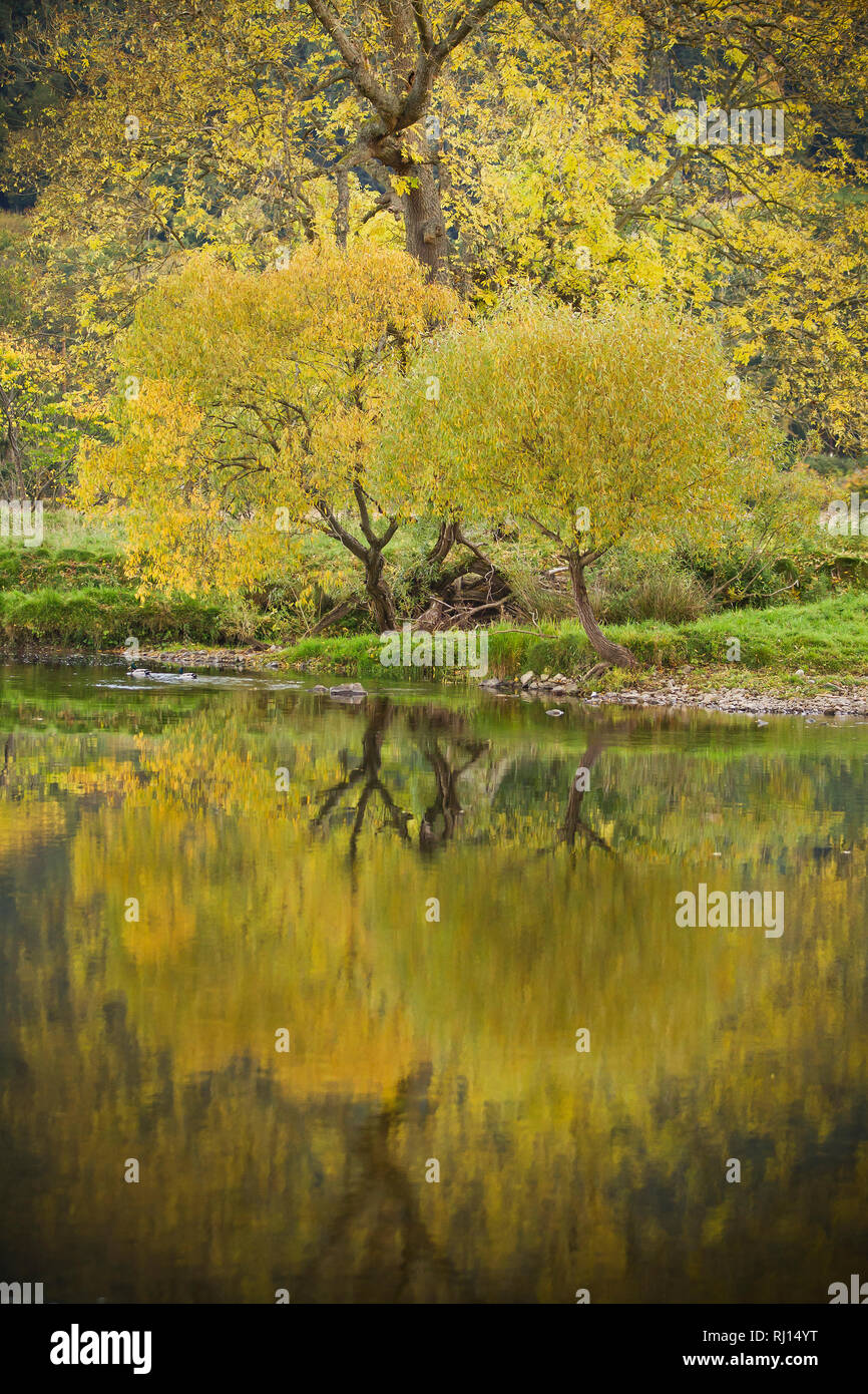 Autumn colours reflected in the river Stock Photo