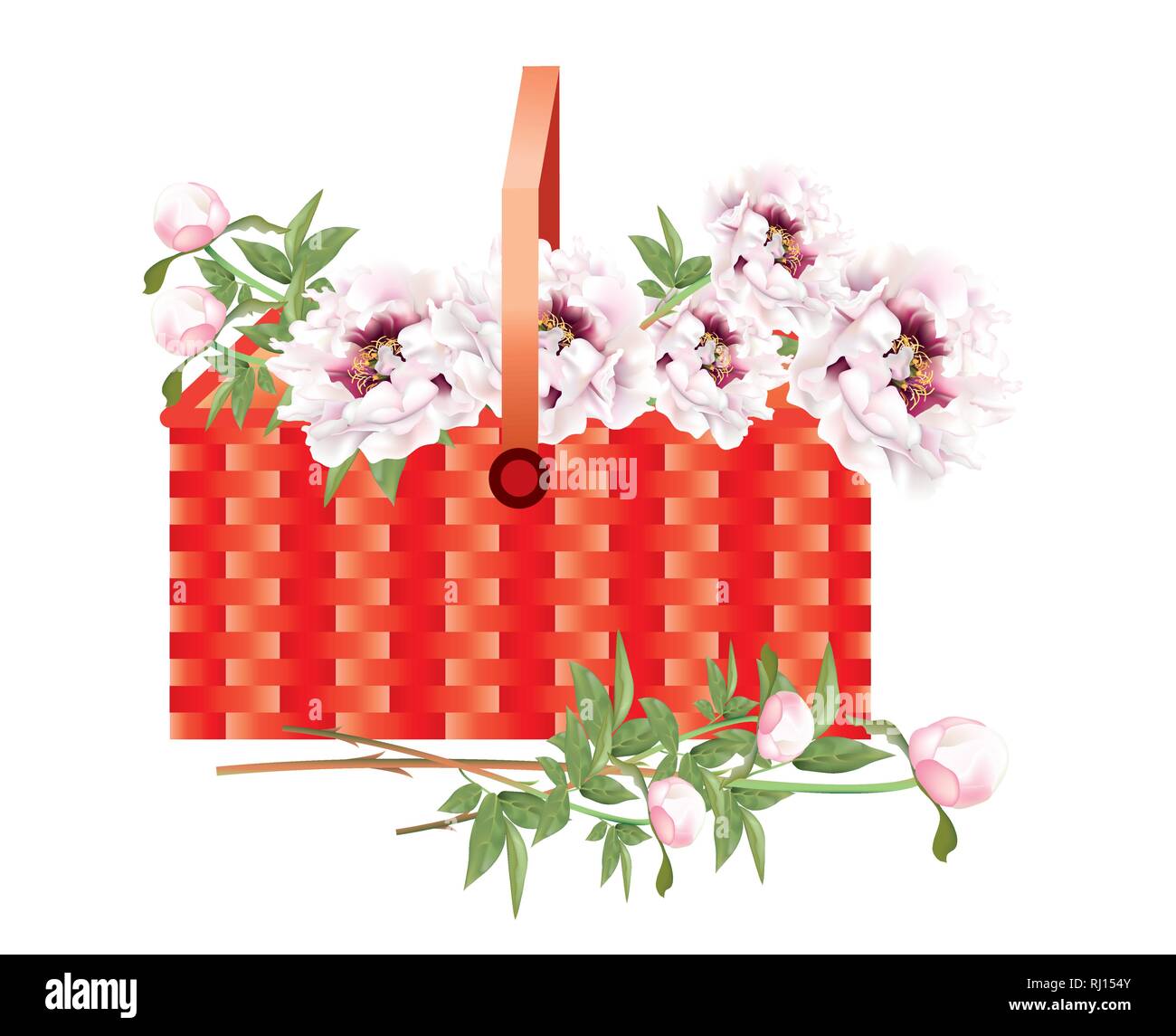 beautiful bright yellow Peonies on white background Stock Vector Image