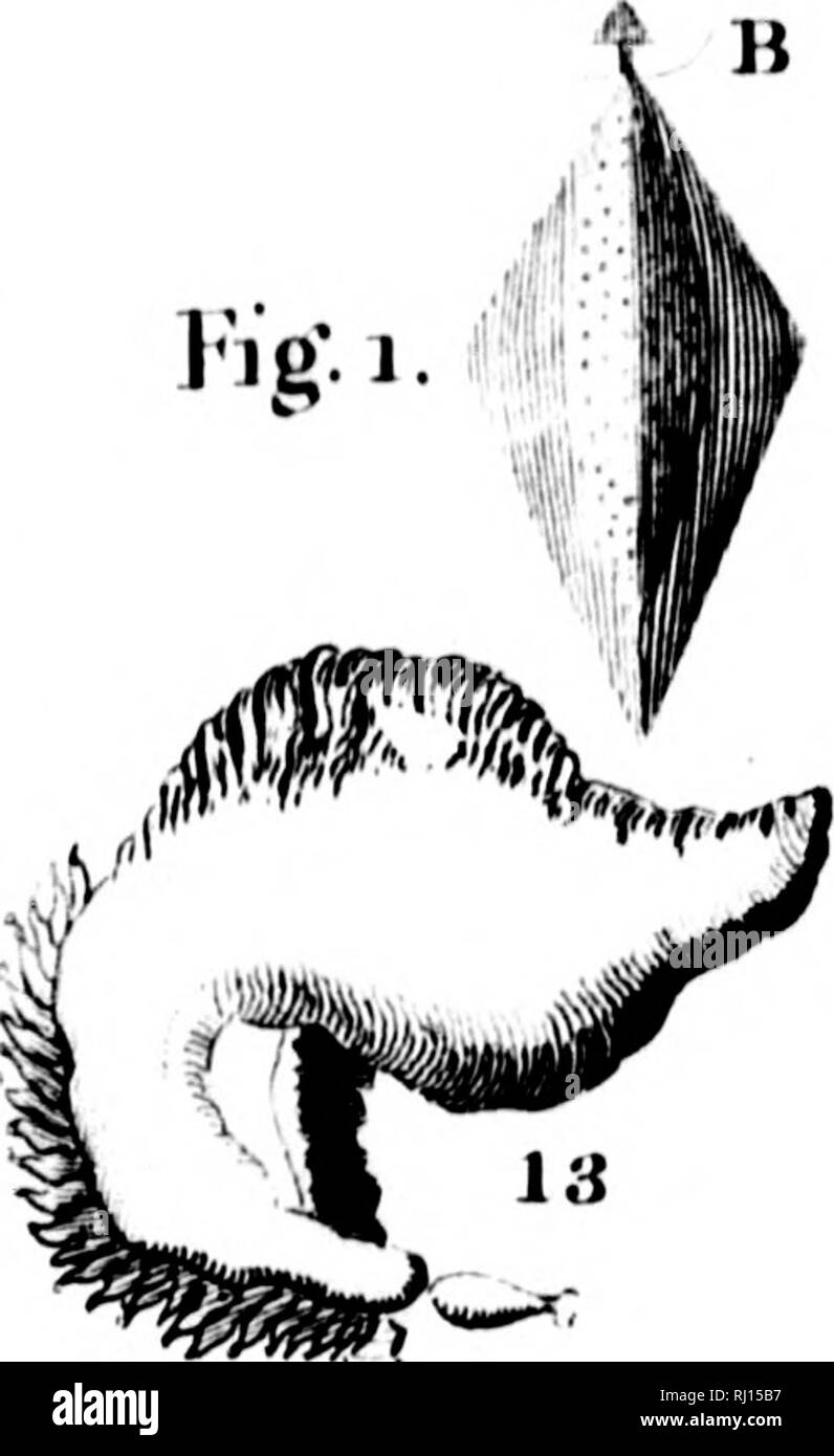 Antoine destouff milet mureau hires stock photography and images Alamy