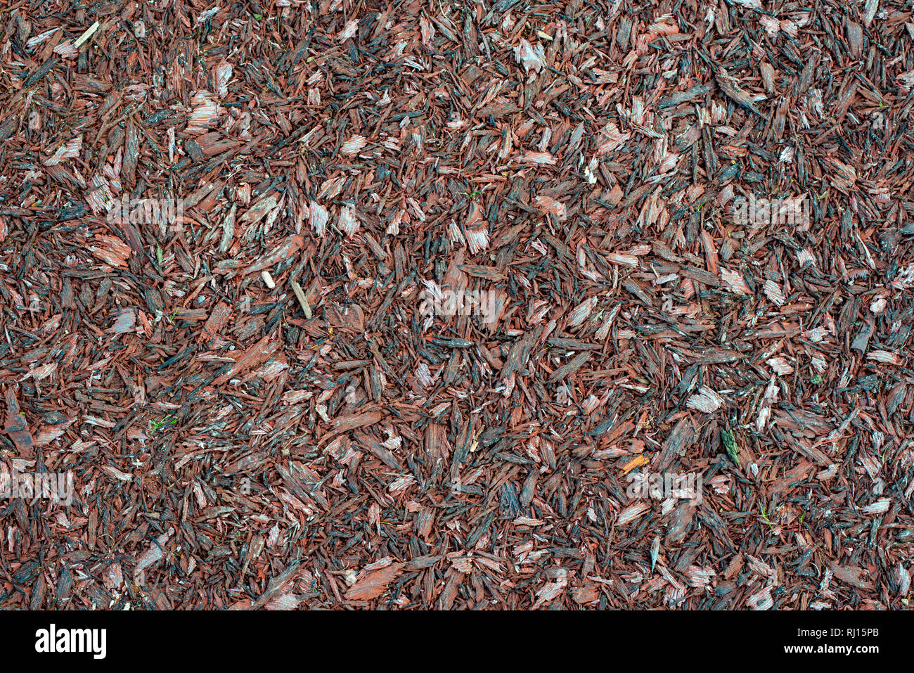 wooden bark chips background texture Stock Photo